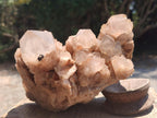 Natural Smokey Phantom Quartz Clusters x 4 From Luena, Congo - Toprock Gemstones and Minerals 