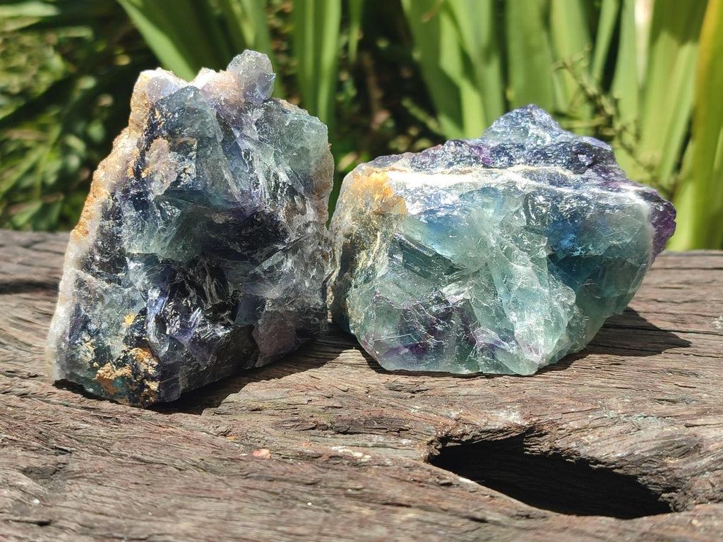 Natural Watermelon Fluorite Cobbed Specimens x 6 From Uis, Namibia - Toprock Gemstones and Minerals 