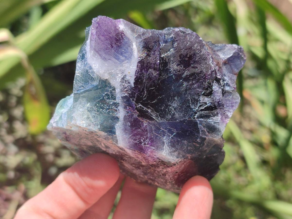 Natural Watermelon Fluorite Cobbed Specimens x 6 From Uis, Namibia - Toprock Gemstones and Minerals 