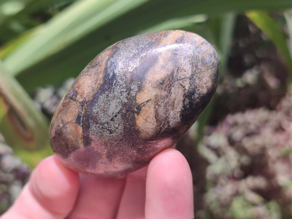 Polished Basalt Pharaoh Stone Galets x 14 From Iron Duke Mine, Zimbabwe - Toprock Gemstones and Minerals 