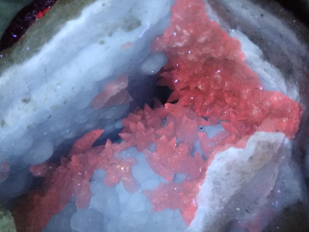 Natural Blue Lace Agate Geode and Cluster Specimens x 14 From Nsanje, Malawi - Toprock Gemstones and Minerals 