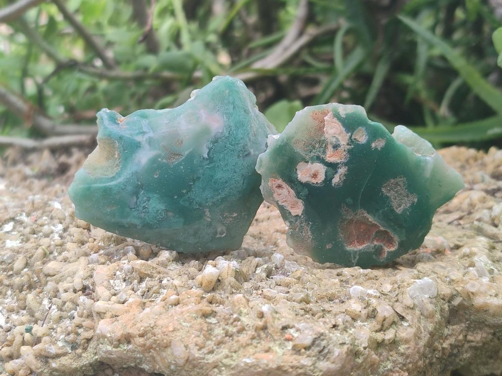 Polished On One Side Mtorolite Chrysoprase Plates x 24 From Mutorashanga, Zimbabwe - Toprock Gemstones and Minerals 