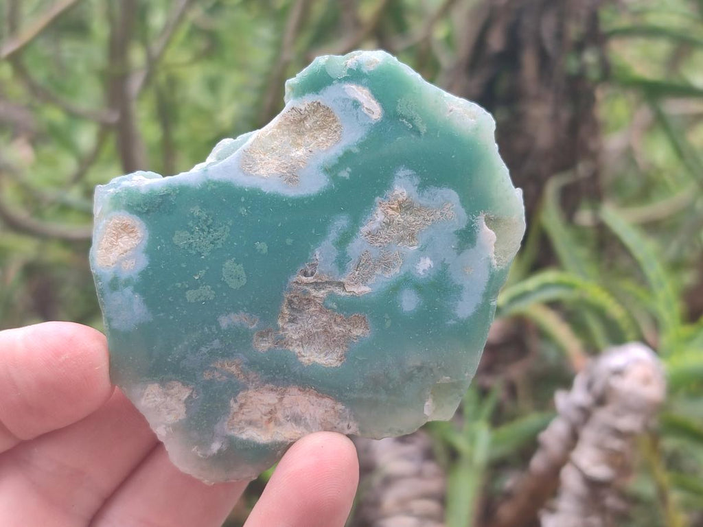 Polished On One Side Mtorolite Chrysoprase Plates x 24 From Mutorashanga, Zimbabwe - Toprock Gemstones and Minerals 