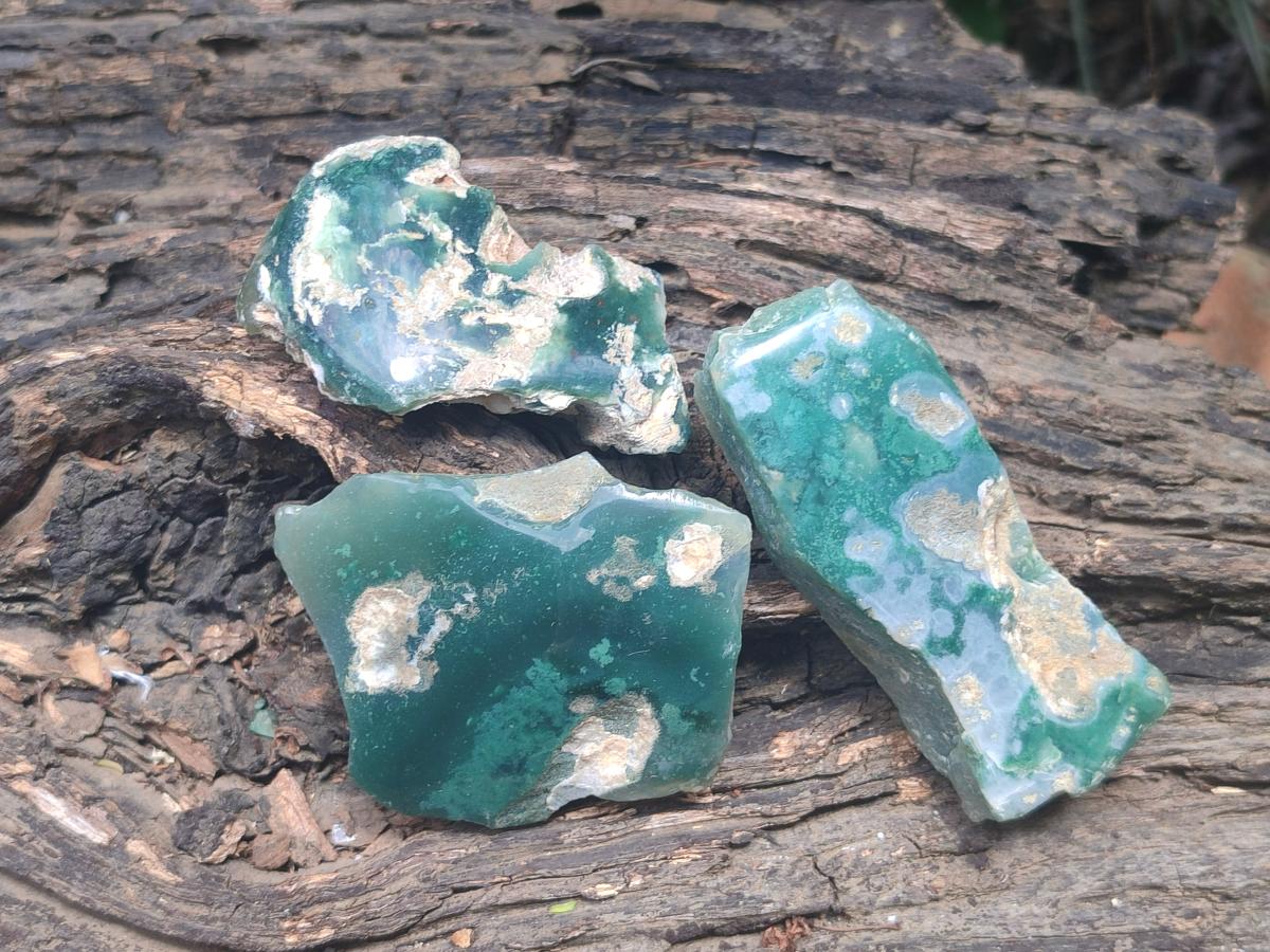 Polished On One Side Mtorolite Chrysoprase Plates x 24 From Mutorashanga, Zimbabwe - Toprock Gemstones and Minerals 