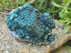 Natural Large Drusy Quartz Coated Ball Malachite On Dolomite Specimen x 1 From Mindingi Mine, Kambove, Congo - Toprock Gemstones and Minerals 