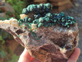 Natural Large Drusy Quartz Coated Ball Malachite On Dolomite Specimen x 1 From Mindingi Mine, Kambove, Congo - Toprock Gemstones and Minerals 