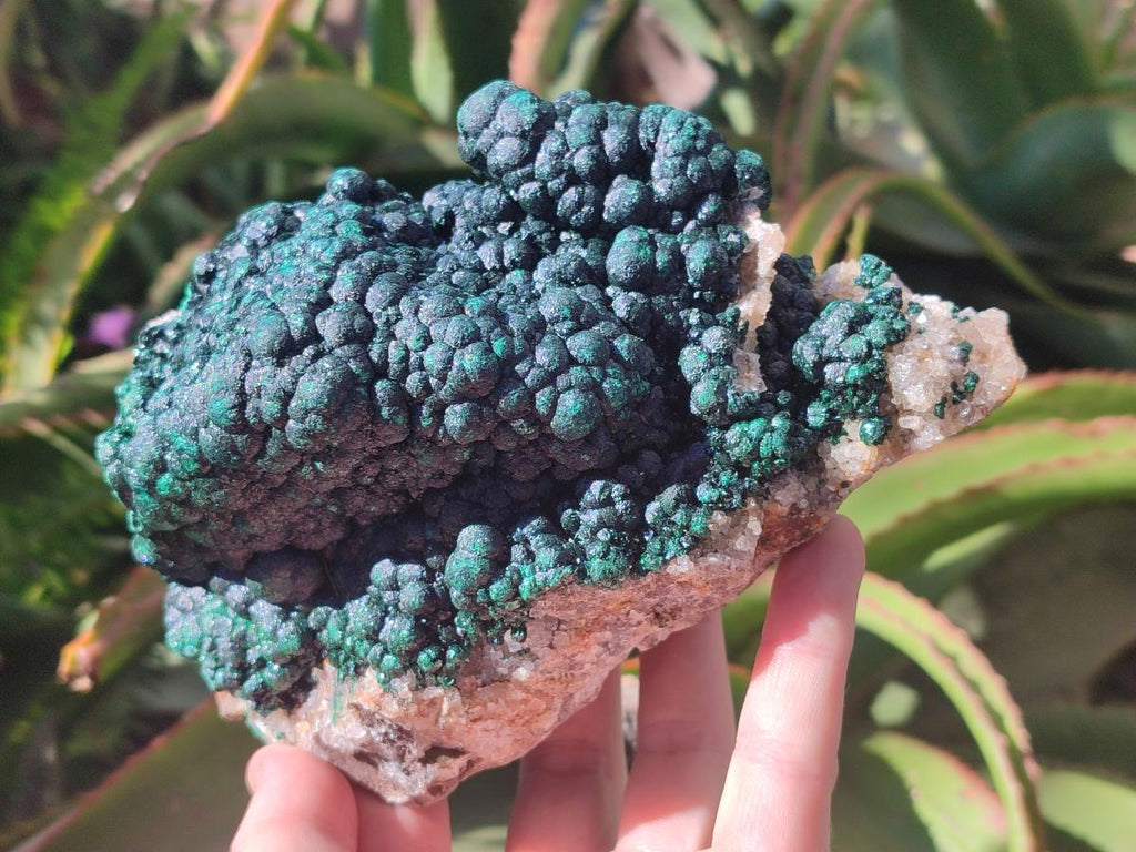 Natural Large Drusy Quartz Coated Ball Malachite On Dolomite Specimen x 1 From Mindingi Mine, Kambove, Congo - Toprock Gemstones and Minerals 