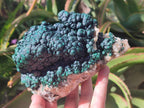 Natural Large Drusy Quartz Coated Ball Malachite On Dolomite Specimen x 1 From Mindingi Mine, Kambove, Congo - Toprock Gemstones and Minerals 