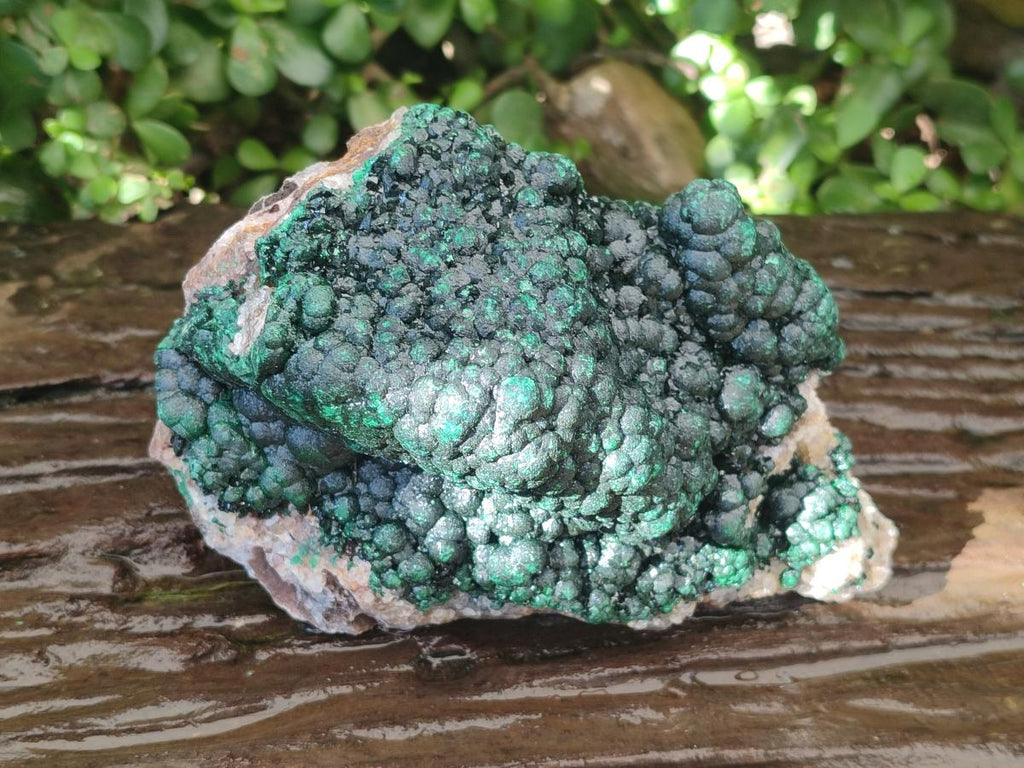 Natural Large Drusy Quartz Coated Ball Malachite On Dolomite Specimen x 1 From Mindingi Mine, Kambove, Congo - Toprock Gemstones and Minerals 