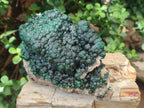 Natural Large Drusy Quartz Coated Ball Malachite On Dolomite Specimen x 1 From Mindingi Mine, Kambove, Congo - Toprock Gemstones and Minerals 