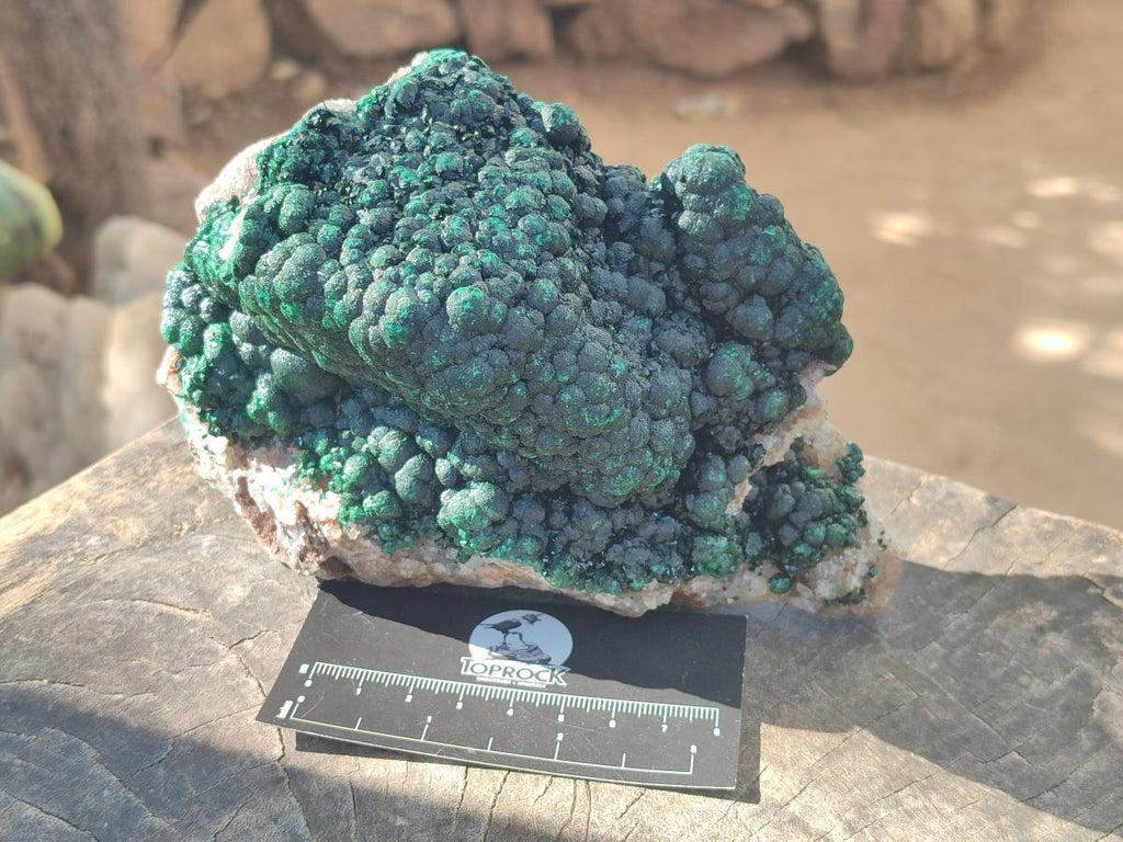 Natural Large Drusy Quartz Coated Ball Malachite On Dolomite Specimen x 1 From Mindingi Mine, Kambove, Congo - Toprock Gemstones and Minerals 