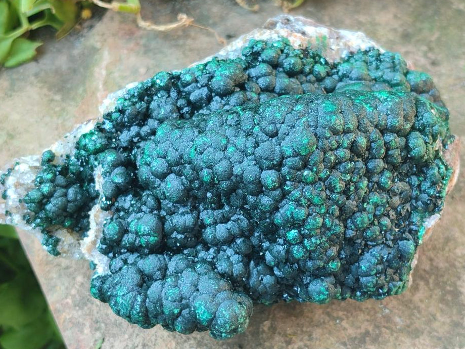 Natural Large Drusy Quartz Coated Ball Malachite On Dolomite Specimen x 1 From Mindingi Mine, Kambove, Congo - Toprock Gemstones and Minerals 