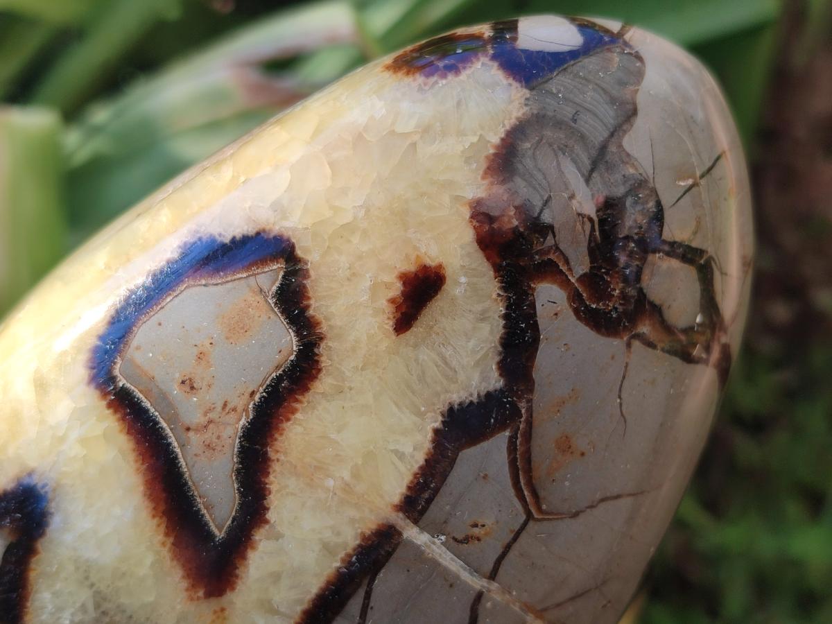 Polished Septerye Standing Free Forms x 2 From Mahajanga, Madagascar - Toprock Gemstones and Minerals 