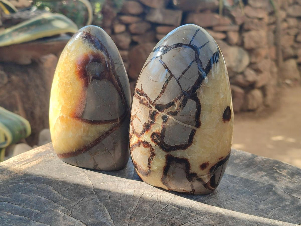 Polished Septerye Standing Free Forms x 2 From Mahajanga, Madagascar - Toprock Gemstones and Minerals 