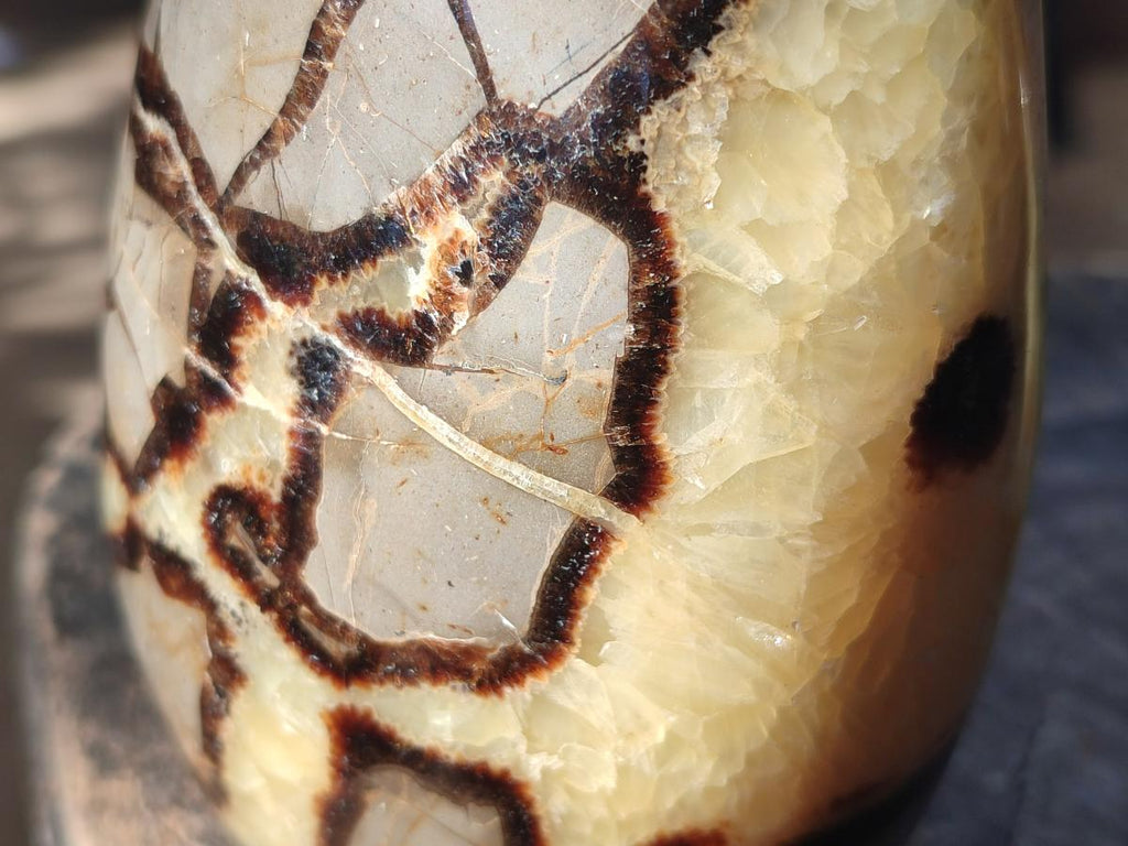 Polished Septerye Standing Free Forms x 2 From Mahajanga, Madagascar - Toprock Gemstones and Minerals 