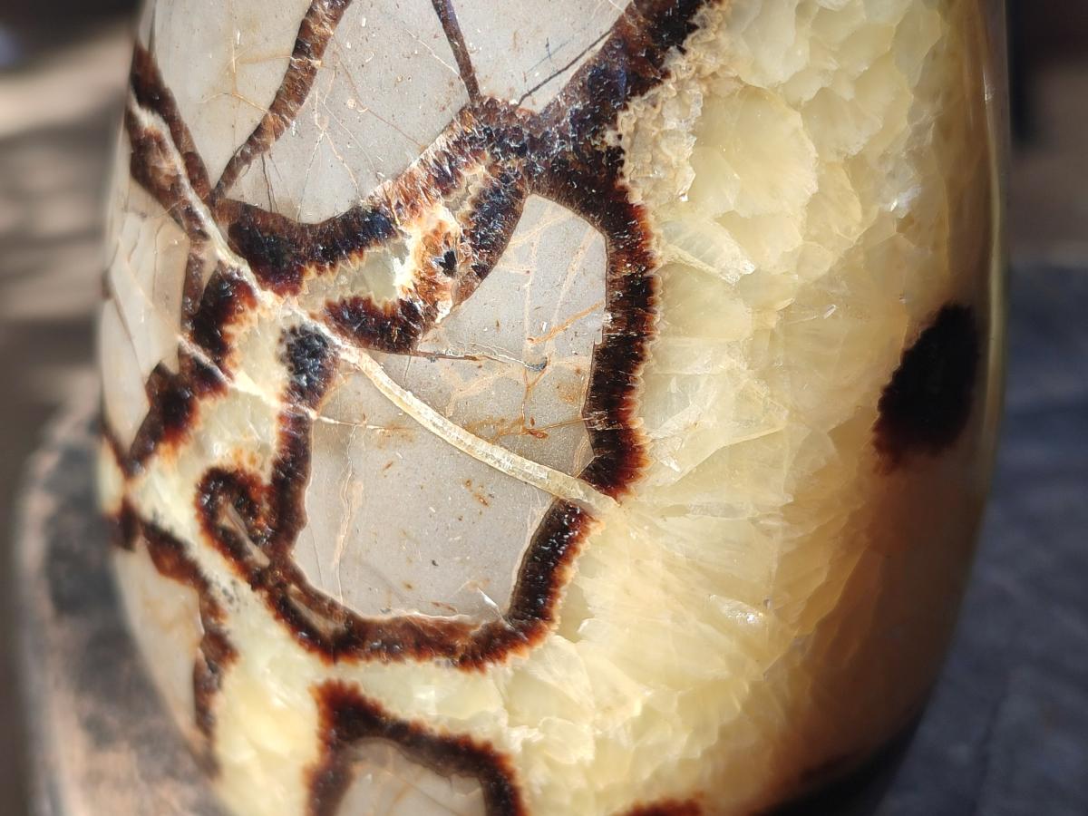 Polished Septerye Standing Free Forms x 2 From Mahajanga, Madagascar - Toprock Gemstones and Minerals 