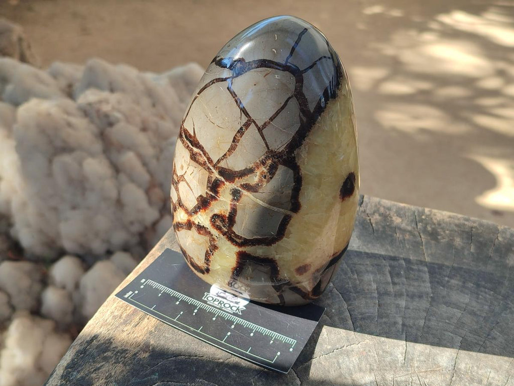 Polished Septerye Standing Free Forms x 2 From Mahajanga, Madagascar - Toprock Gemstones and Minerals 