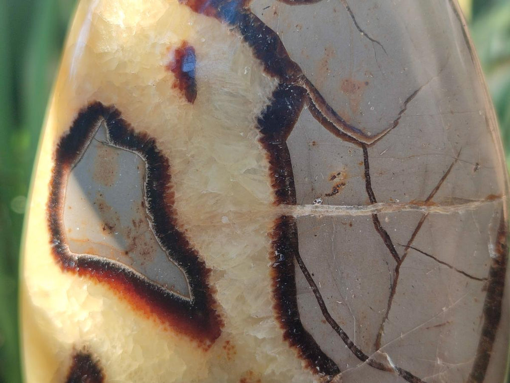 Polished Septerye Standing Free Forms x 2 From Mahajanga, Madagascar - Toprock Gemstones and Minerals 