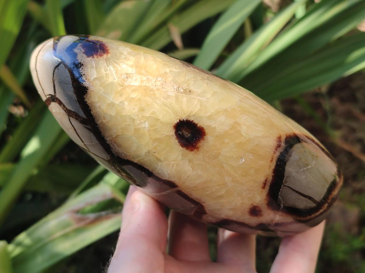Polished Septerye Standing Free Forms x 2 From Mahajanga, Madagascar - Toprock Gemstones and Minerals 