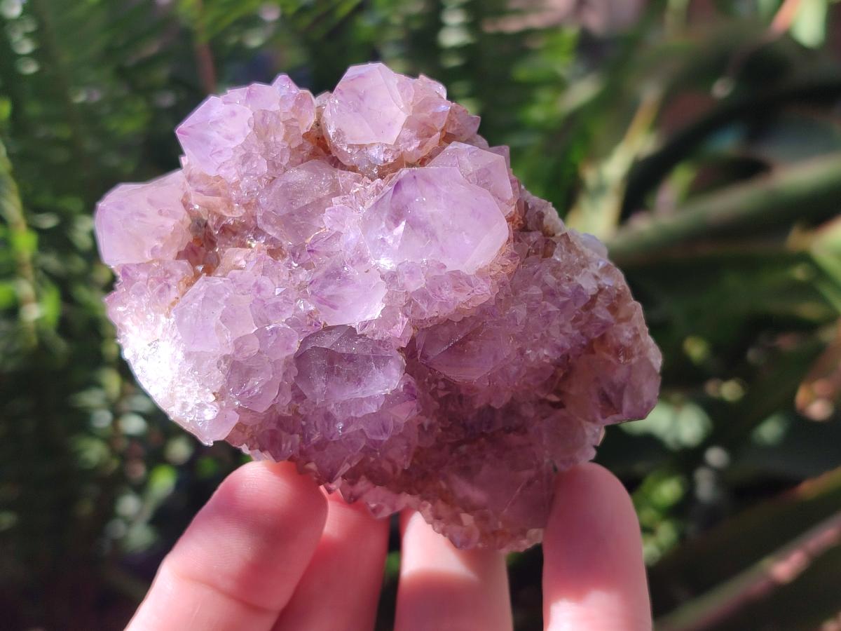Natural Amethyst Spirit Clusters x 6 From Boekenhouthoek, South Africa - Toprock Gemstones and Minerals 