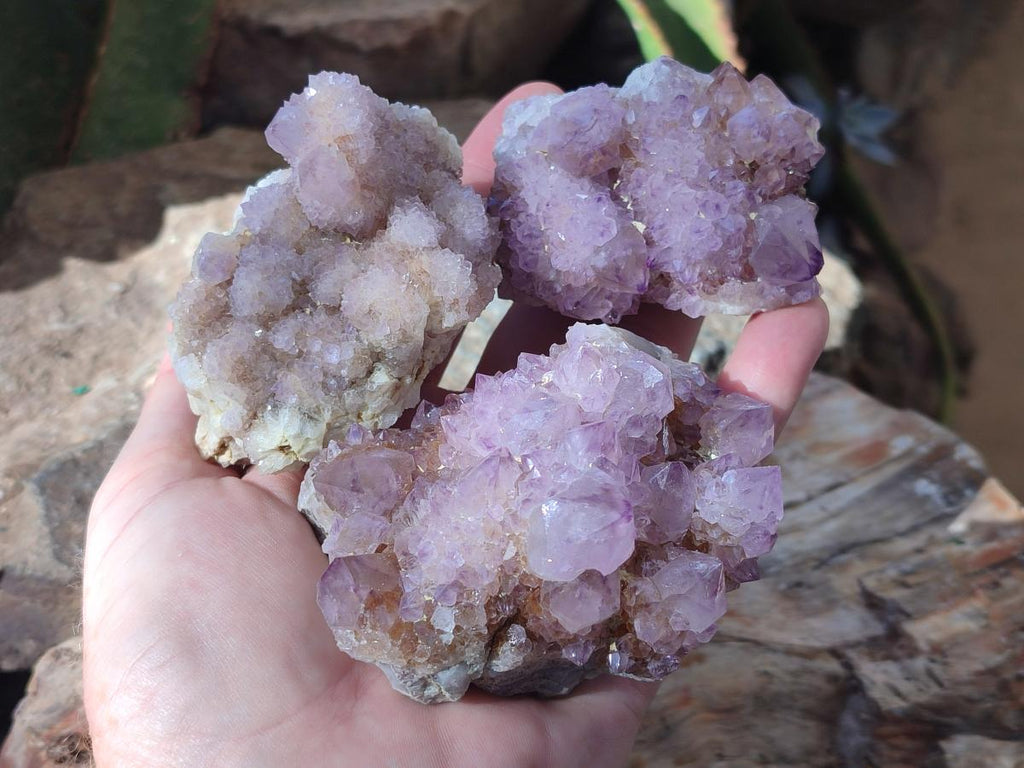 Natural Amethyst Spirit Clusters x 6 From Boekenhouthoek, South Africa - Toprock Gemstones and Minerals 