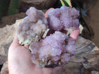 Natural Amethyst Spirit Clusters x 6 From Boekenhouthoek, South Africa - Toprock Gemstones and Minerals 