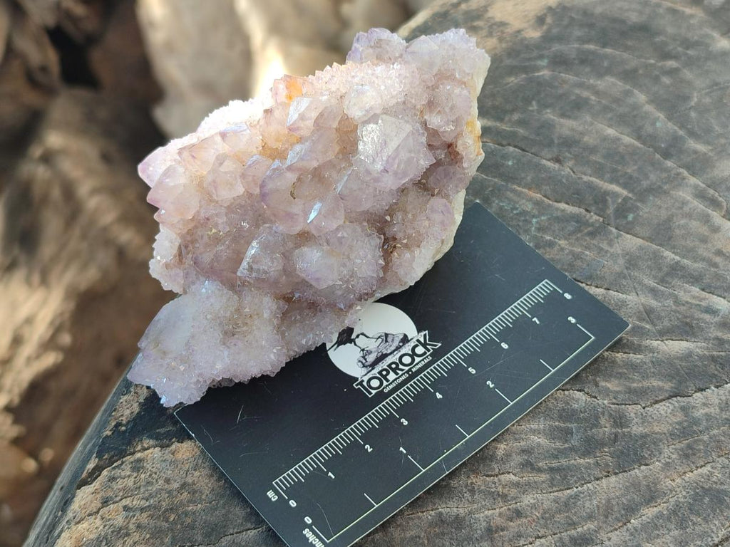 Natural Amethyst Spirit Clusters x 6 From Boekenhouthoek, South Africa - Toprock Gemstones and Minerals 