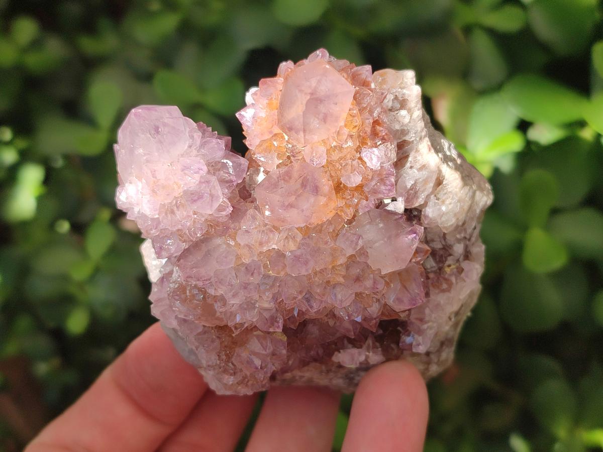 Natural Amethyst Spirit Clusters x 6 From Boekenhouthoek, South Africa - Toprock Gemstones and Minerals 