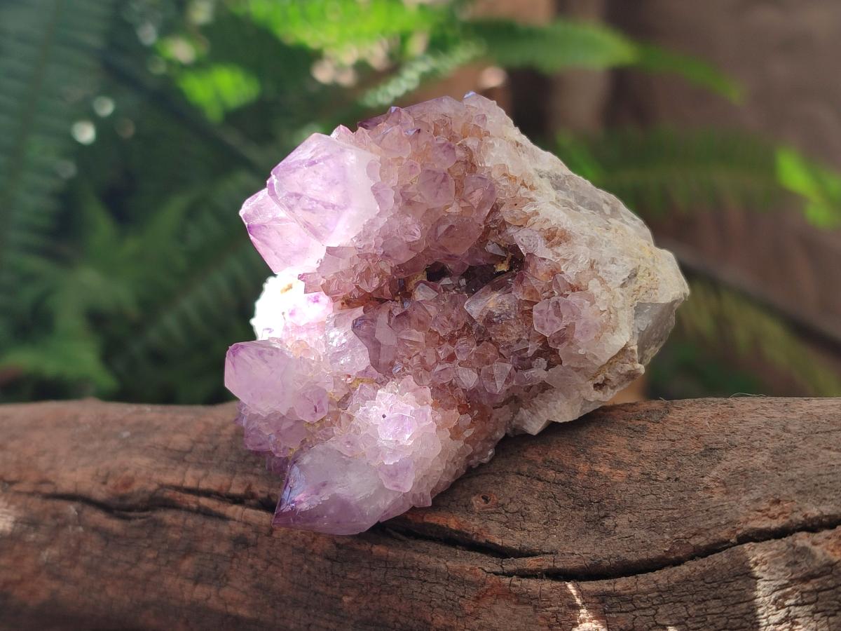 Natural Amethyst Spirit Clusters x 6 From Boekenhouthoek, South Africa - Toprock Gemstones and Minerals 