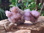 Natural Amethyst Spirit Clusters x 6 From Boekenhouthoek, South Africa - Toprock Gemstones and Minerals 