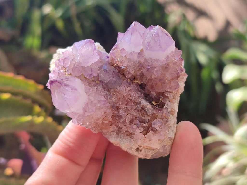 Natural Amethyst Spirit Clusters x 6 From Boekenhouthoek, South Africa - Toprock Gemstones and Minerals 