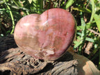Polished Large Red Podocarpus Petrified Wood Heart x 1 From Mahajanga, Madagascar - Toprock Gemstones and Minerals 