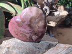 Polished Large Red Podocarpus Petrified Wood Heart x 1 From Mahajanga, Madagascar - Toprock Gemstones and Minerals 