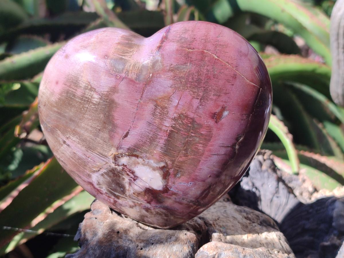 Polished Large Red Podocarpus Petrified Wood Heart x 1 From Mahajanga, Madagascar - Toprock Gemstones and Minerals 