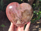 Polished Large Red Podocarpus Petrified Wood Heart x 1 From Mahajanga, Madagascar - Toprock Gemstones and Minerals 