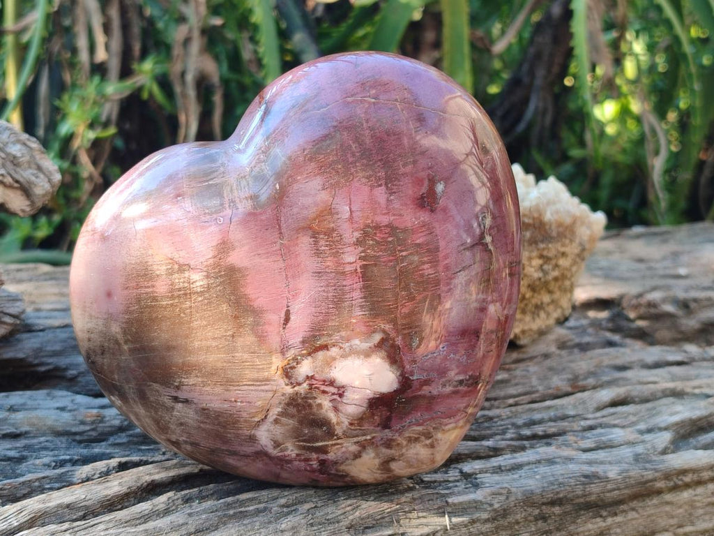 Polished Large Red Podocarpus Petrified Wood Heart x 1 From Mahajanga, Madagascar - Toprock Gemstones and Minerals 