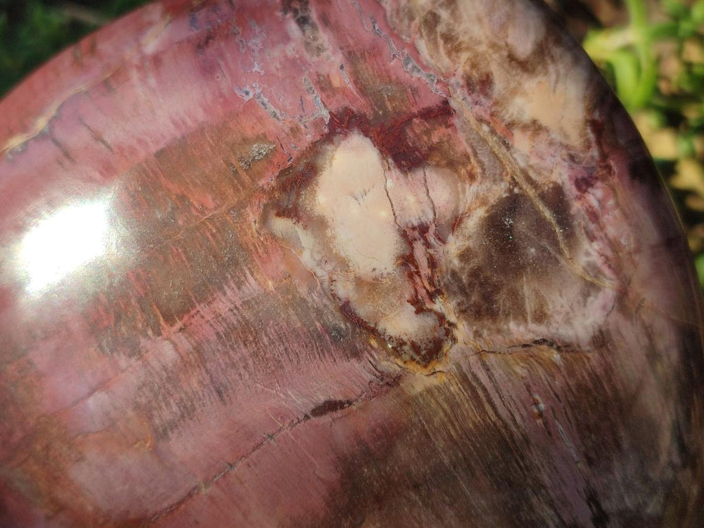 Polished Large Red Podocarpus Petrified Wood Heart x 1 From Mahajanga, Madagascar - Toprock Gemstones and Minerals 