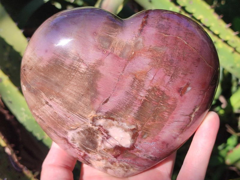 Polished Large Red Podocarpus Petrified Wood Heart x 1 From Mahajanga, Madagascar - Toprock Gemstones and Minerals 