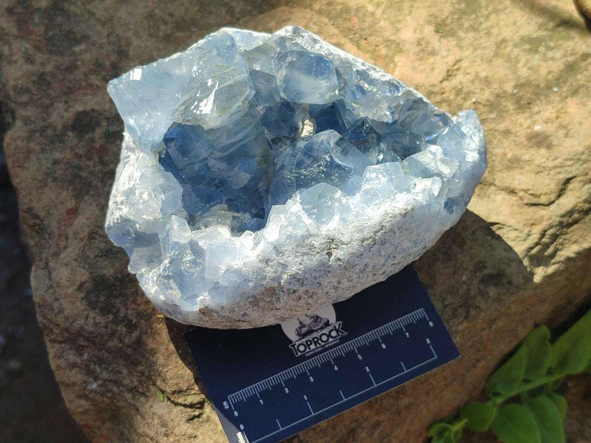 Natural Blue Celestite Cluster Specimens x 2 From Sakoany, Madagascar