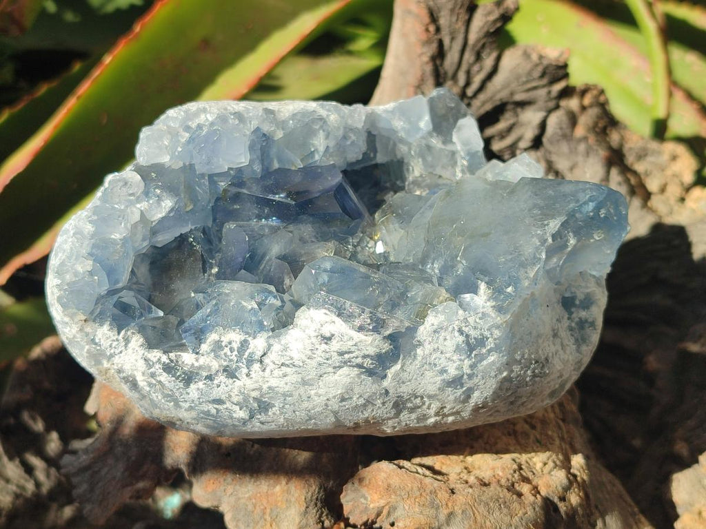 Natural Blue Celestite Cluster Specimens x 2 From Sakoany, Madagascar