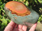 Polished Polychrome Jasper Standing Free Forms x 3 From NW Coast, Madagascar - Toprock Gemstones and Minerals 