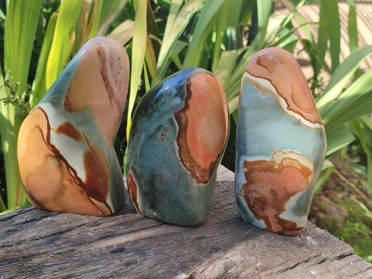Polished Polychrome Jasper Standing Free Forms x 3 From NW Coast, Madagascar - Toprock Gemstones and Minerals 