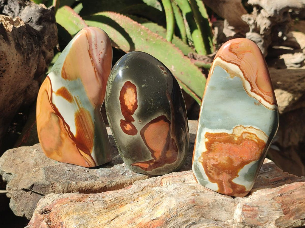 Polished Polychrome Jasper Standing Free Forms x 3 From NW Coast, Madagascar - Toprock Gemstones and Minerals 