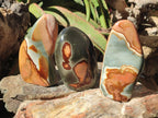 Polished Polychrome Jasper Standing Free Forms x 3 From NW Coast, Madagascar - Toprock Gemstones and Minerals 