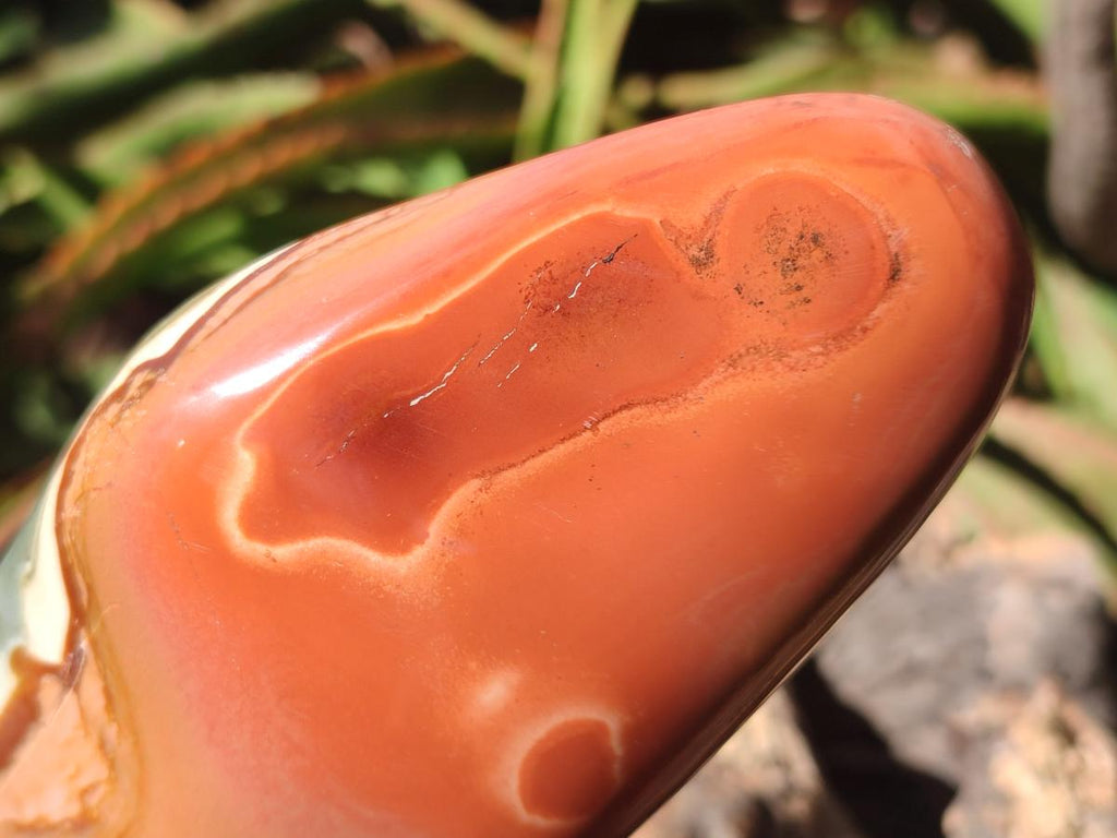 Polished Polychrome Jasper Standing Free Forms x 3 From NW Coast, Madagascar - Toprock Gemstones and Minerals 