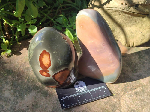 Polished Polychrome Jasper Standing Free Forms x 3 From NW Coast, Madagascar - Toprock Gemstones and Minerals 