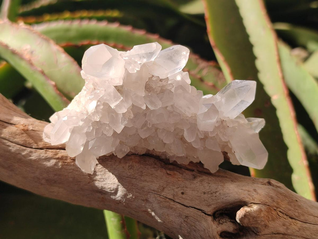 Natural Clear Quartz Clusters x 12 From Madagascar