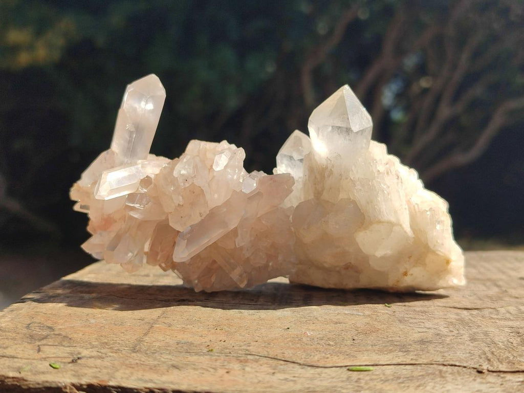Natural Clear Quartz Clusters x 12 From Madagascar