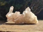 Natural Clear Quartz Clusters x 12 From Madagascar