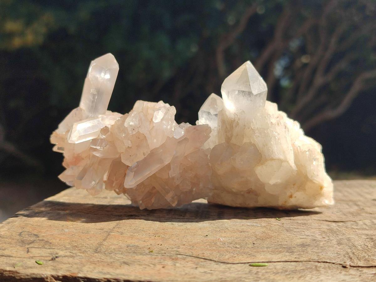 Natural Clear Quartz Clusters x 12 From Madagascar